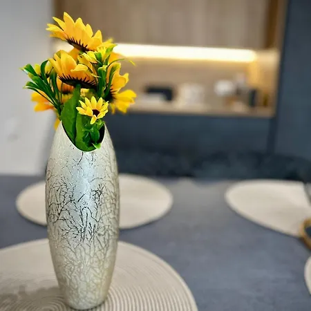 South Апартаменты